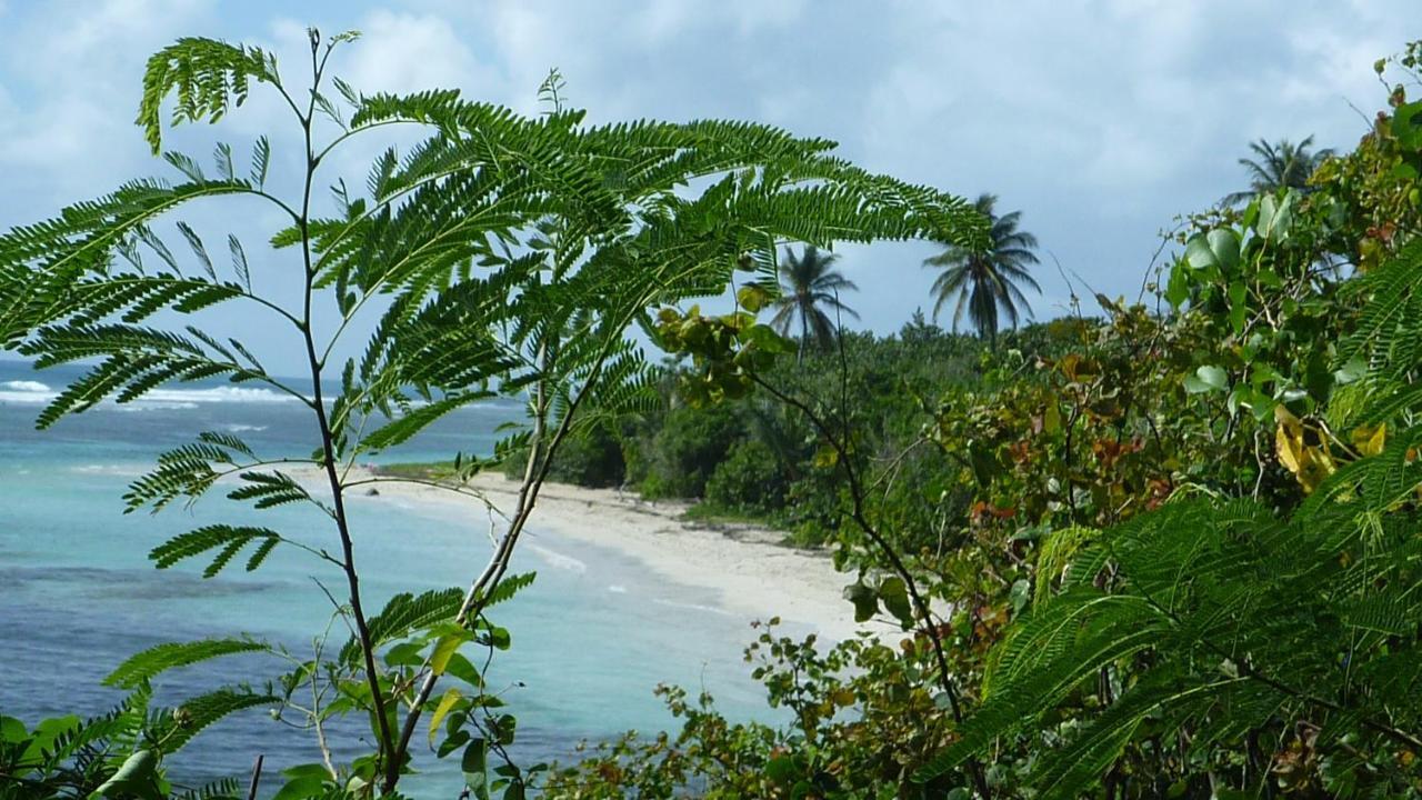 Surf Camp Kokoplaj, A 150M De La Plage Et Du Spot De Surf サンタンヌ エクステリア 写真